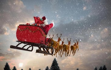 Spectacles de noël à Montauban