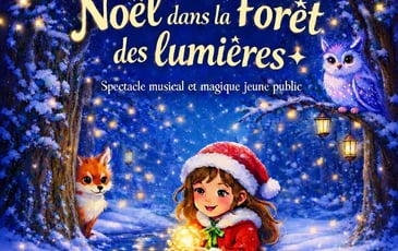 Noël dans la forêt des lumières