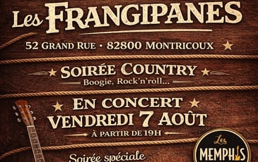 Le Duo LES MEMPHIS 2 Guitare Voix Harmonica en LIVE!