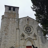 Visite commentée de la collégiale Saint-Martin