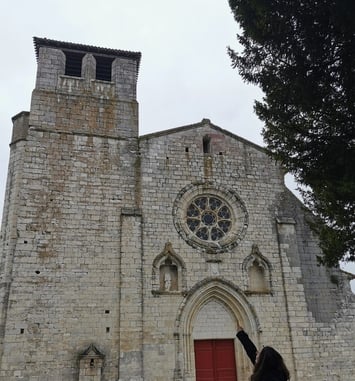 Visite commentée de la collégiale Saint-Martin