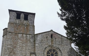 Visite commentée de la collégiale Saint-Martin
