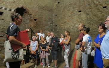 Visite guidée des vestiges médiévaux
