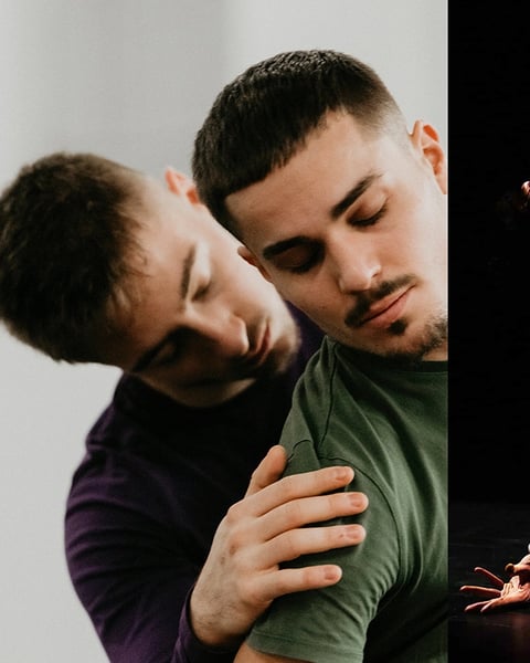 Aristide & Bastien + Capra_solo