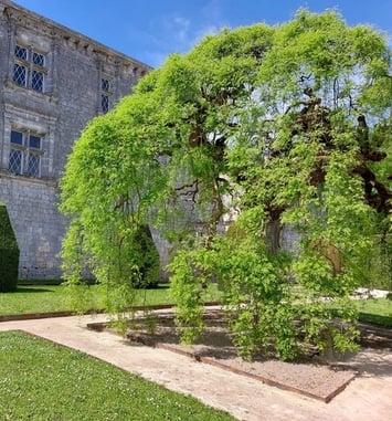 Visite du château de Gramont