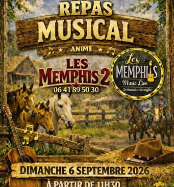 Le Duo Les Memphis 2 Guitare Voix Harmonica en Live !