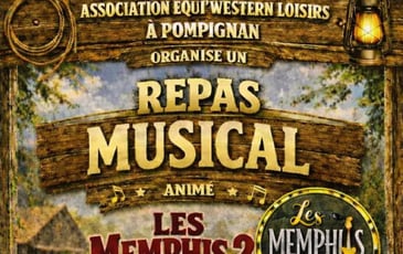 Le Duo Les Memphis 2 Guitare Voix Harmonica en Live !